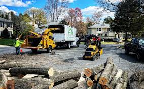 How Our Tree Care Process Works  in  Slaton, TX